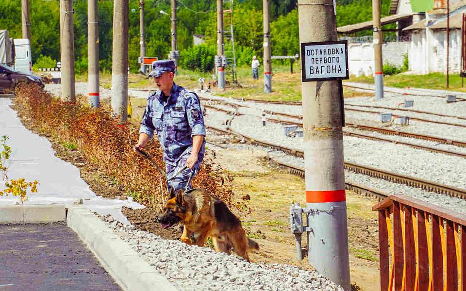 Особый режим въезда и выезда введут на границе с ЛНР в Воронежской области