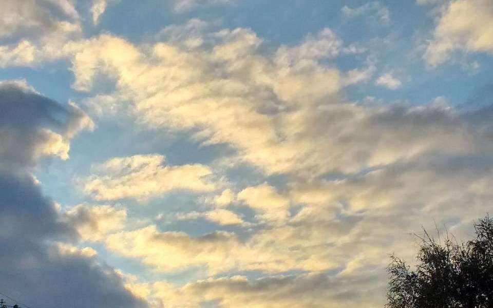 О возвращении 28-градусной жары предупредили воронежцев в Гидрометцентре