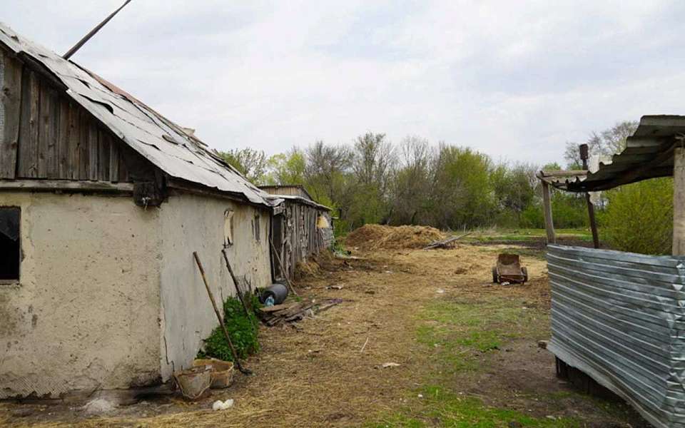 Поселок Заря ликвидируют в Воронежской области