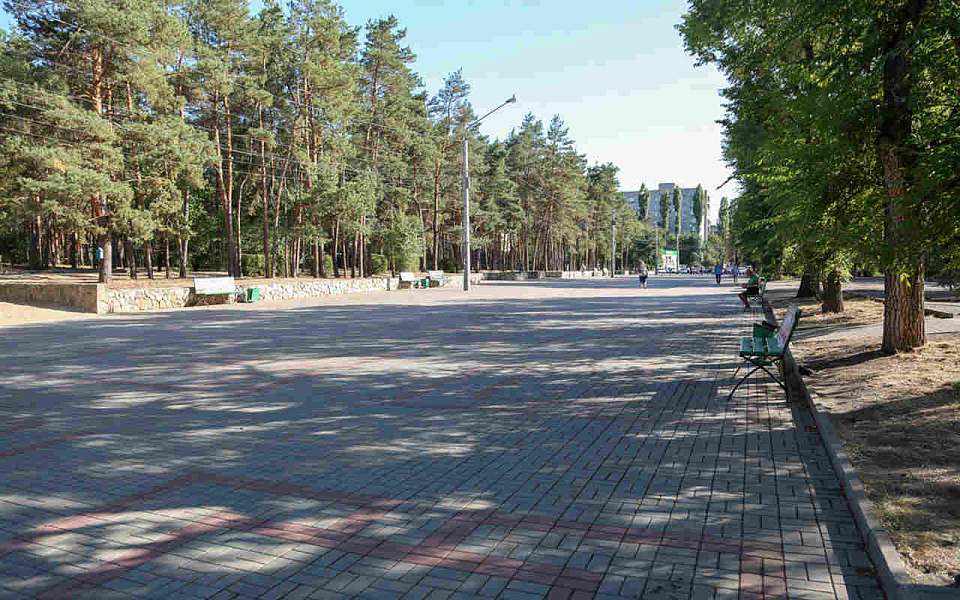 Предложение по концессии парка «Танаис» на 415 млн рублей получила мэрия Воронежа
