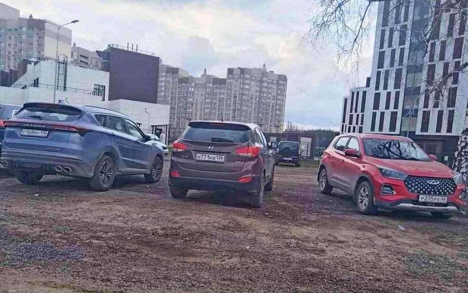За обход утильсбора суд взыскал с воронежца 3,3 млн рублей