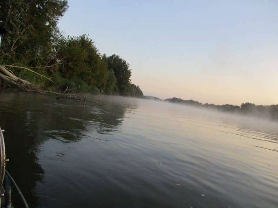 Пропавшую 4 дня назад 58-летнюю женщину нашли мертвой в реке Дон