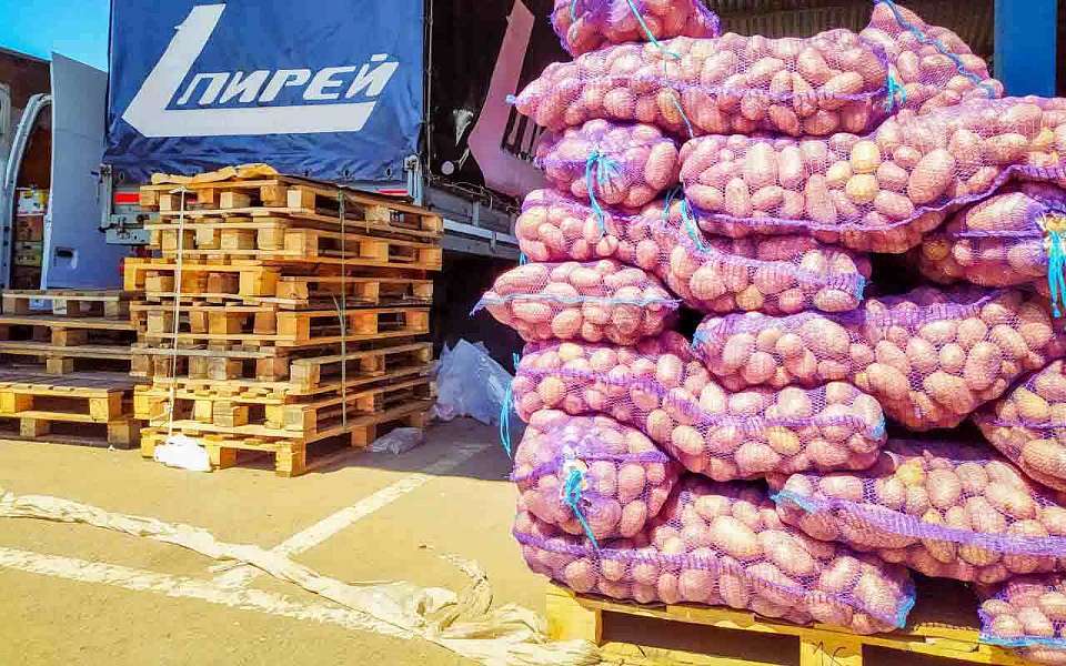 Более чем на 30% подорожала картошка за месяц в Воронежской области