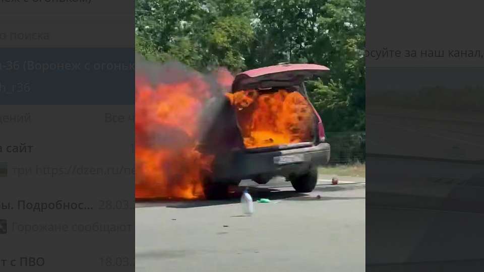 Опубликованы кадры масштабного пожара на трассе в Воронежской области
