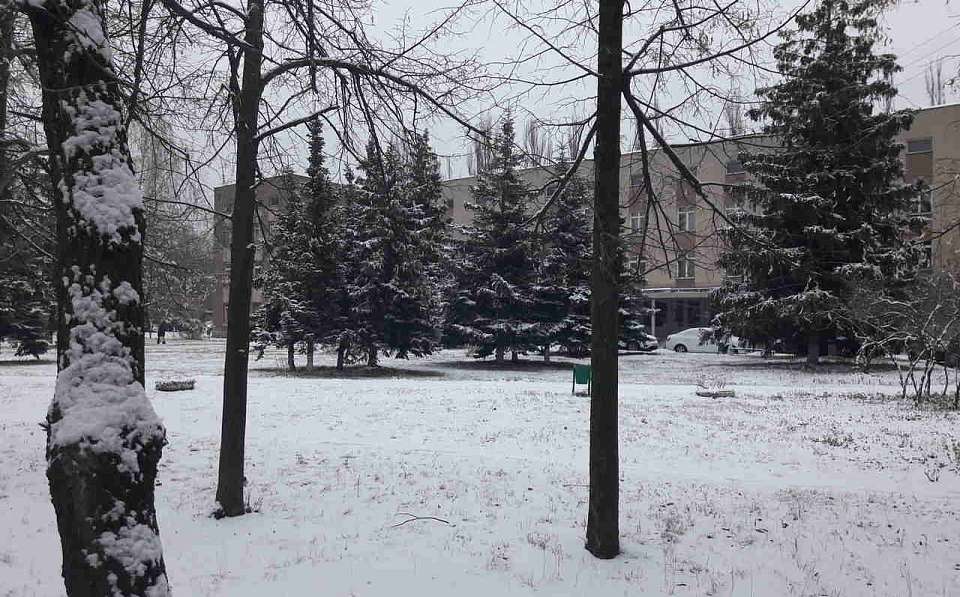 Из-за гололедицы и тумана жёлтый уровень погодной опасности в Воронежской области продлён