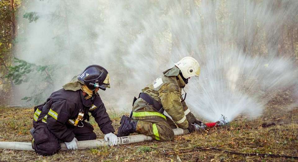 В 29 районах Воронежской области объявлен высокий уровень пожарной опасности