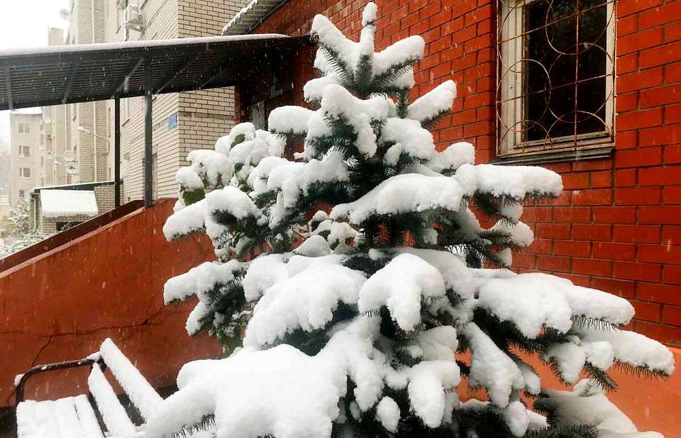 Синоптики сообщили, как долго продлятся осадки в виде мокрого снега в Воронеже