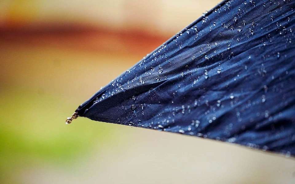 Затяжные дожди и 20 градусов тепла ожидаются на рабочей неделе в Воронежской области