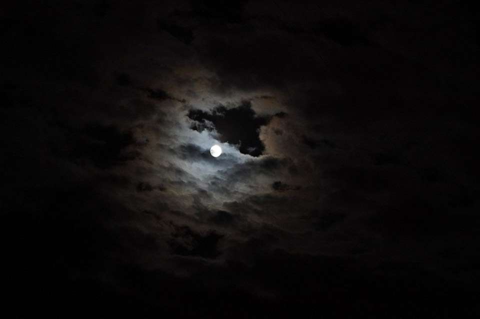 Власти назвали причину ночных взрывов в Воронеже