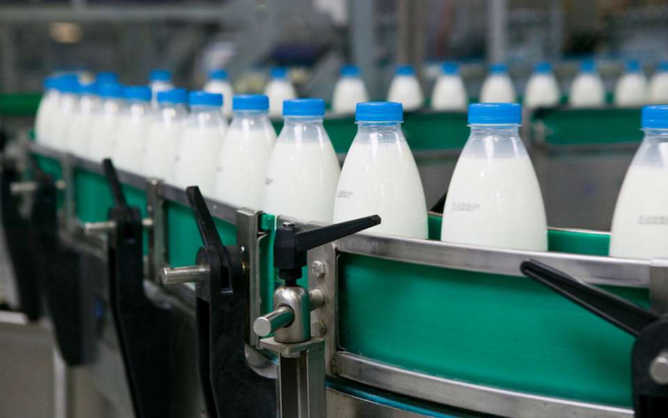 Роспотребнадзор изъял 790 кг опасной молочной продукции в Воронежской области