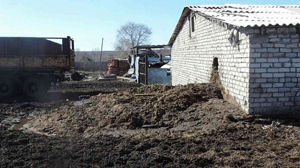 За сброс отходов крупного рогатого скота в Масловке бизнесмена обязали выплатить 13,9 миллиона