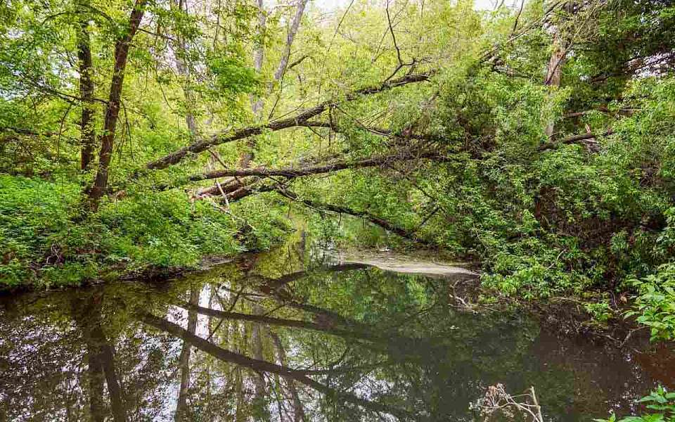 Фекальное загрязнение питьевой воды выявили в шести родниках в Воронеже