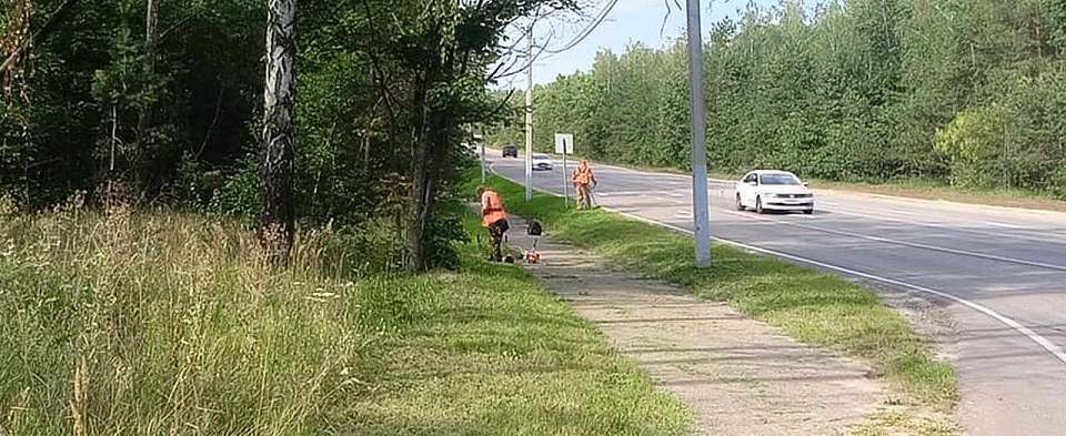 В Железнодорожном районе продолжают следить за состоянием газонов