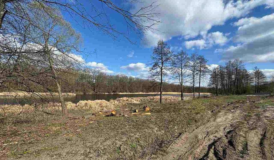 Продажу земельных участков на реке Воронеж площадью 9,5 гектаров отменила прокуратура