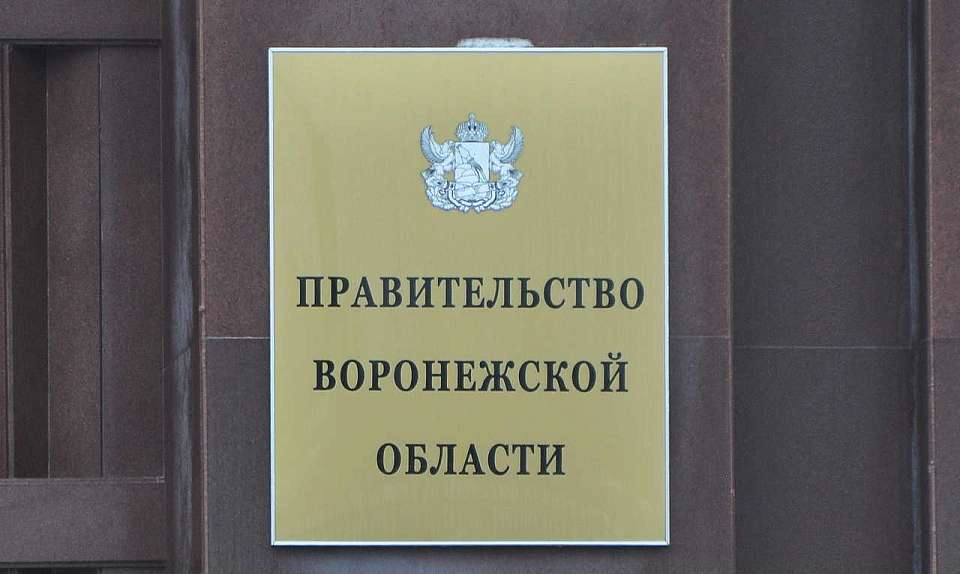 Появление министров в правительстве Воронежской области одобрили депутаты в первом чтении