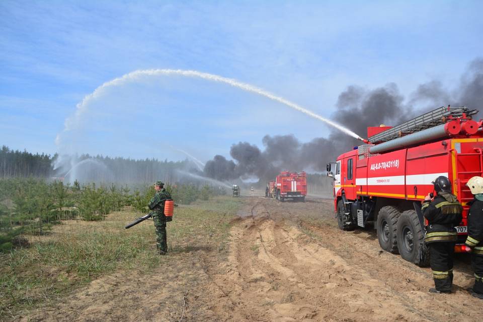 В Воронеже в 2020 году на пожарах погибли 14 человек