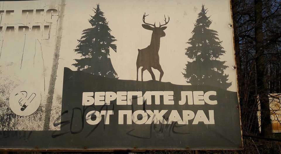 Штормпредупреждение об опасных метеоявлениях передало воронежцам МЧС