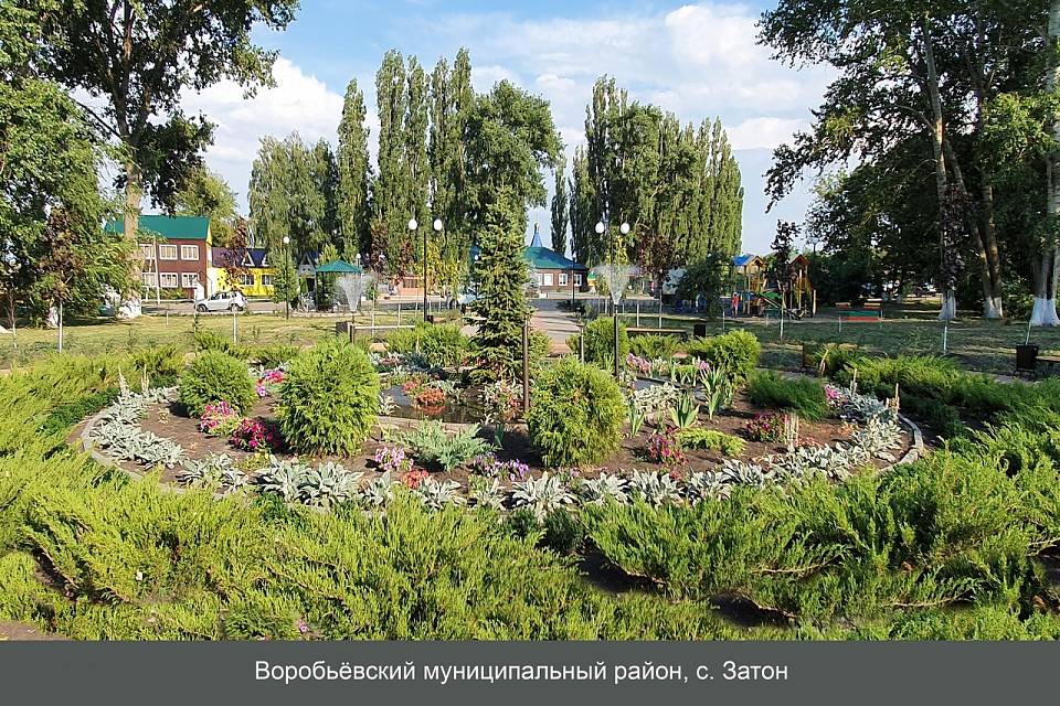 Самое красивое село Воронежской области оценил губернатор Гусев
