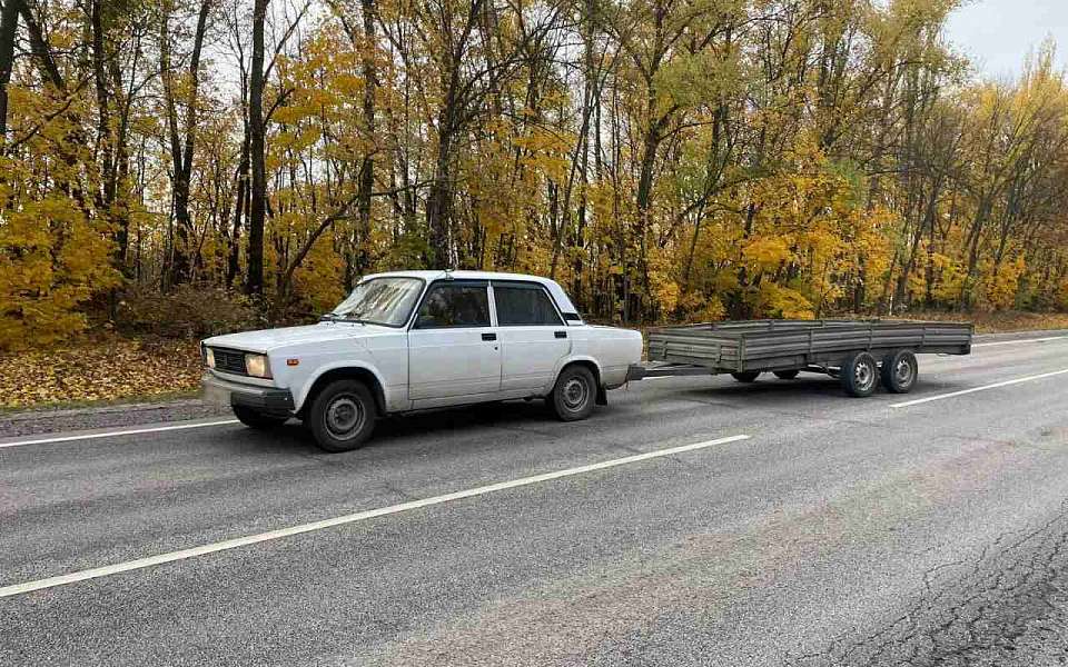 38-летний пешеход погиб после наезда легковушки с прицепом в Воронежской области