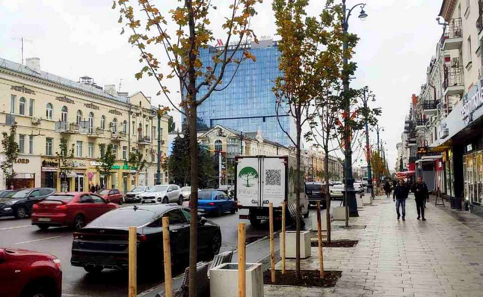В Воронеже во второй раз на проспекте Революции высадили десять клёнов