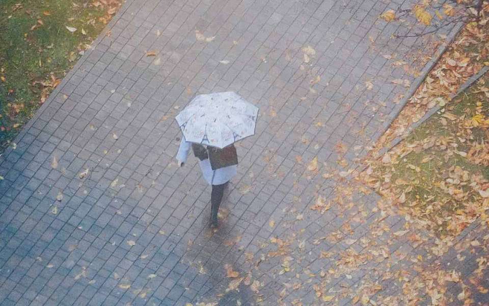 Пасмурный и холодный день с осадками ожидает воронежцев 2 декабря