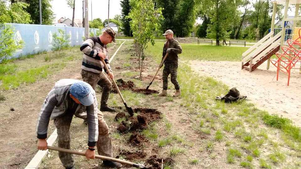 Продолжается озеленение Железнодорожного района