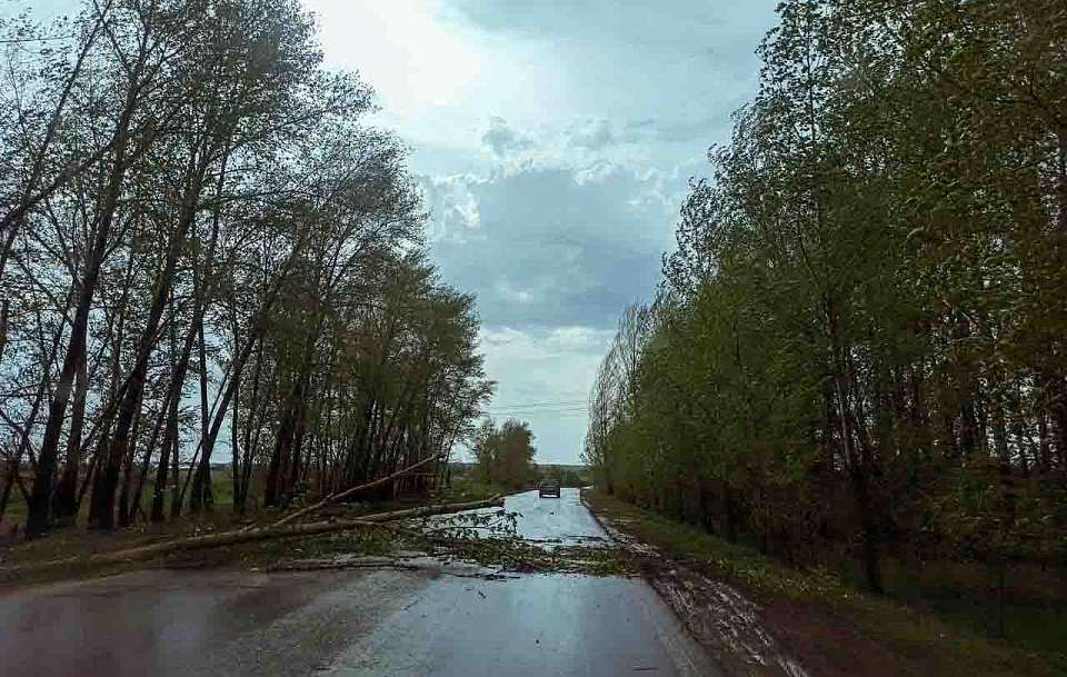 С важным заявлением к горожанам выступили воронежские спасатели