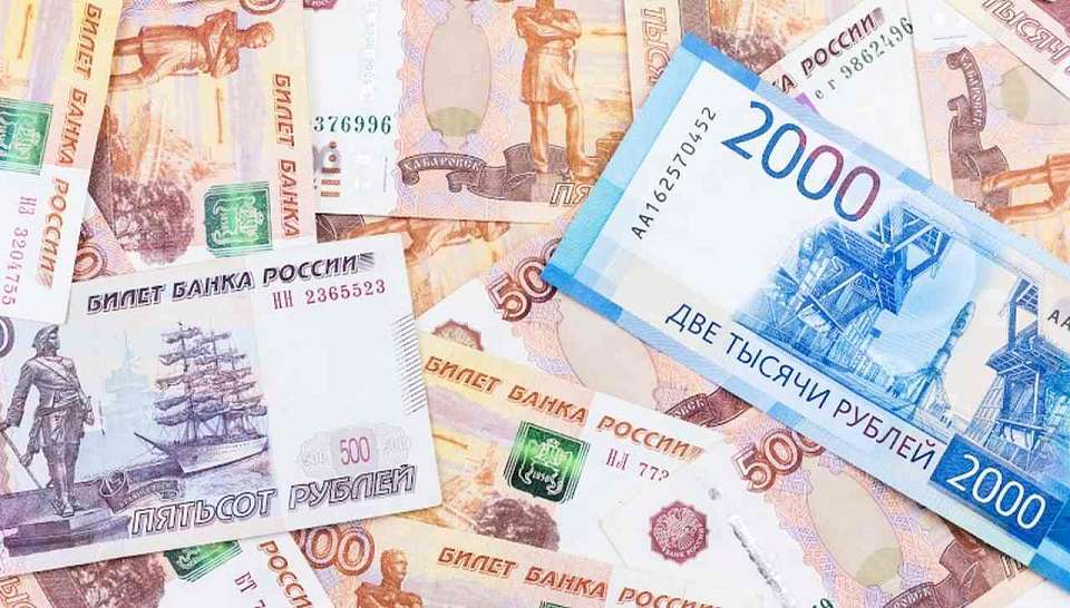 Три инвестиционных проекта на общую сумму 24 млрд рублей поддержали депутаты Воронежской облдумы