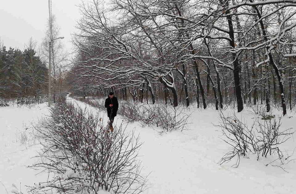 «Штормпредупреждение» объявили в Воронежской области из-за аномального холода