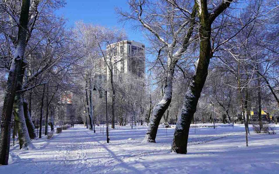 На рабочей неделе потеплеет от -18 до -3 градусов в Воронежской области