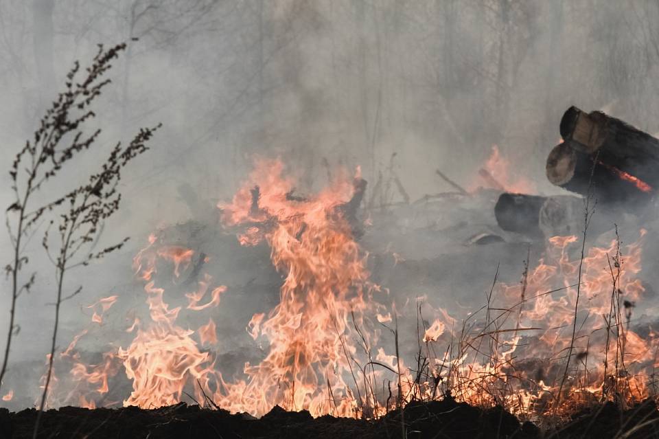 МЧС предупредило о дальнейшем ухудшении пожарной обстановки в Воронежской области