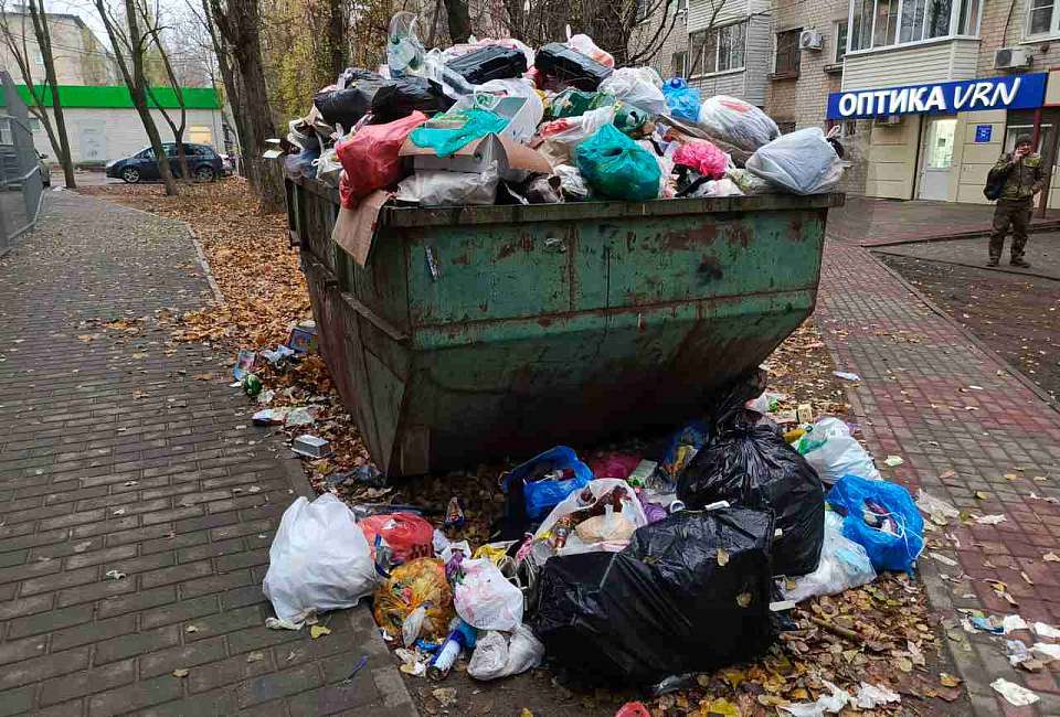 За несвоевременный вывоз мусора в Воронеже оштрафовали регионального оператора на 2 млн