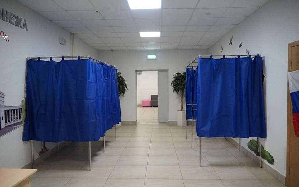 На 8,5 тыс. человек сократилась за год численность избирателей в Воронежской области