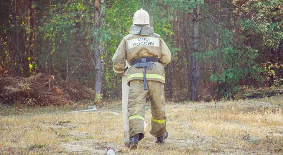 В 5 районах Воронежской области установился V класс пожарной опасности
