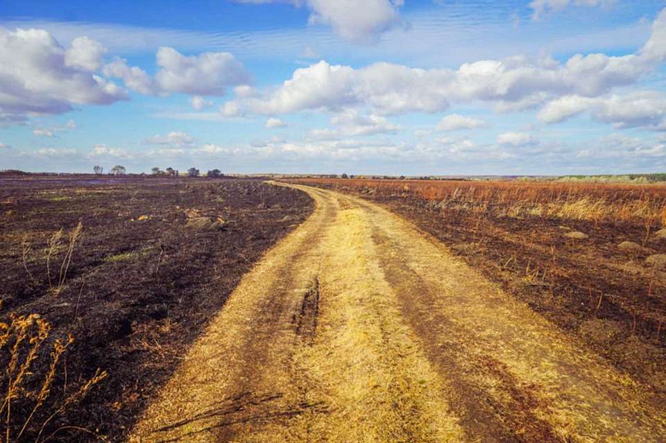 Отменили авиационную опасность в Воронежской области