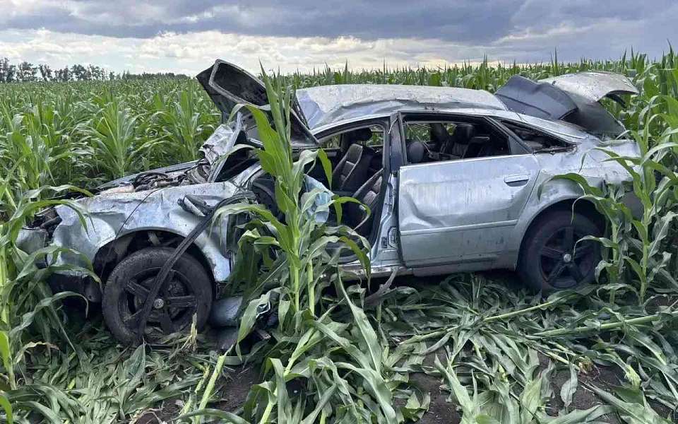 После ДТП в кукурузном поле один человек погиб и еще один попал в больницу в Воронежской области