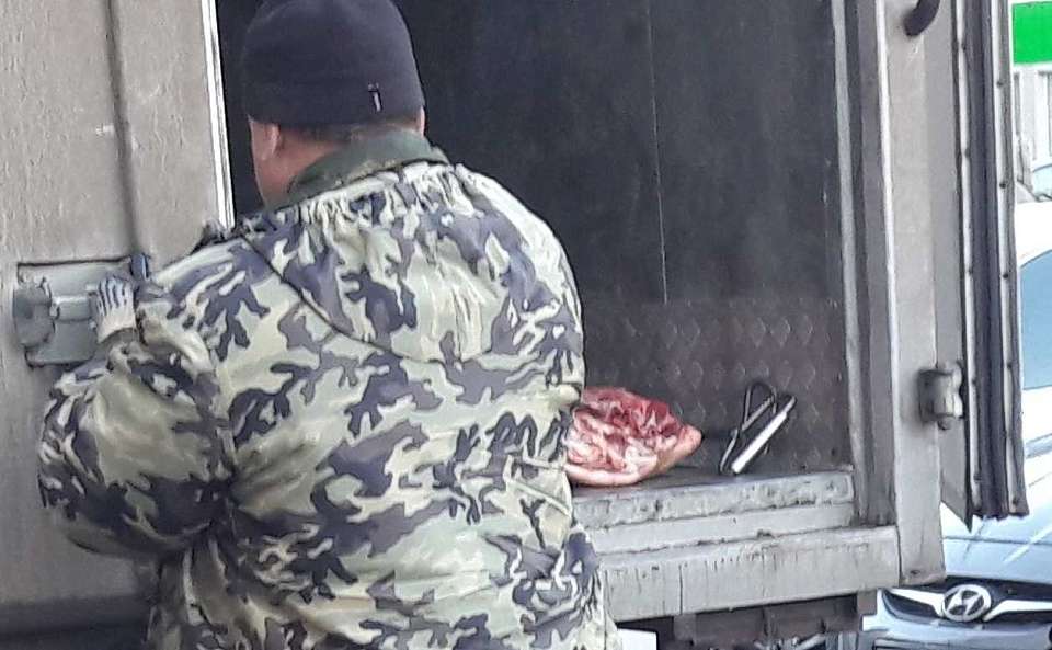 Продавец заражённого мяса в Воронежской области едва не спровоцировал эпидемию сибирской язвы