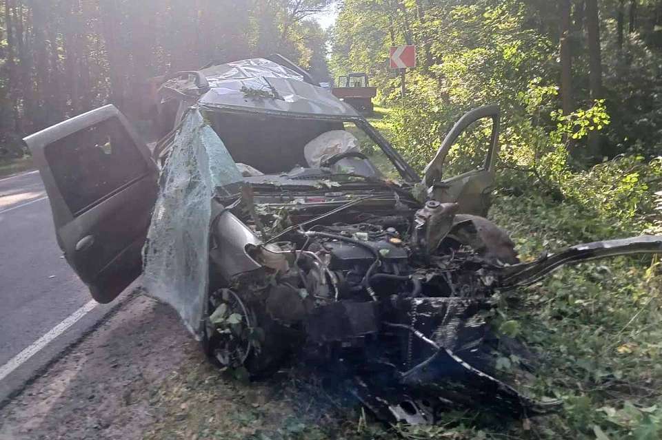 Два человека погибли в ночном ДТП на воронежской трассе
