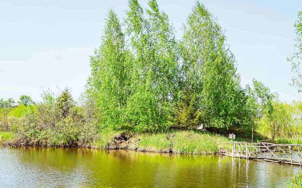 Открыть доступ к реке обязал суд владельца земельного участка под Воронежем