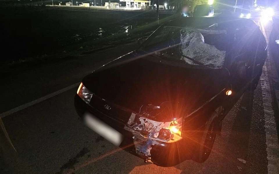 Погиб переходивший трассу в темноте на неосвещенном участке пенсионер в Воронежской области