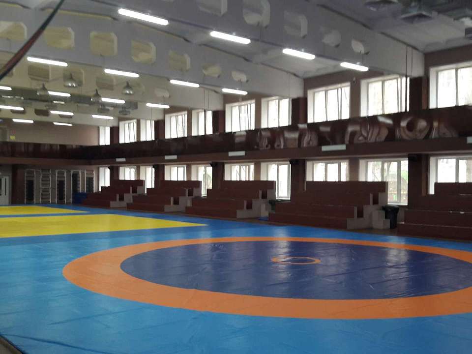 На берегу Воронежского водохранилища планируют построить многофункциональный спорткомплекс