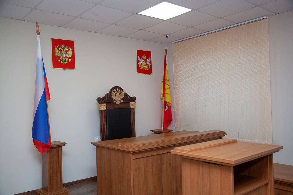 Средняя нагрузка на одного судью превысила 1,3 тыс. дел в год в Воронежской области
