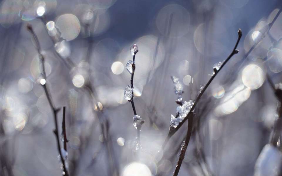 Стало известно, когда в Воронеже потеплеет до +1 градуса
