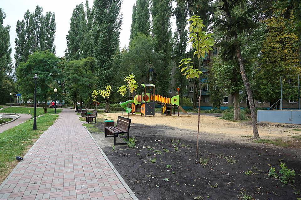 Воронежские власти планируют осенью высадить крупномерные деревья в 14 скверах и на 25 улицах