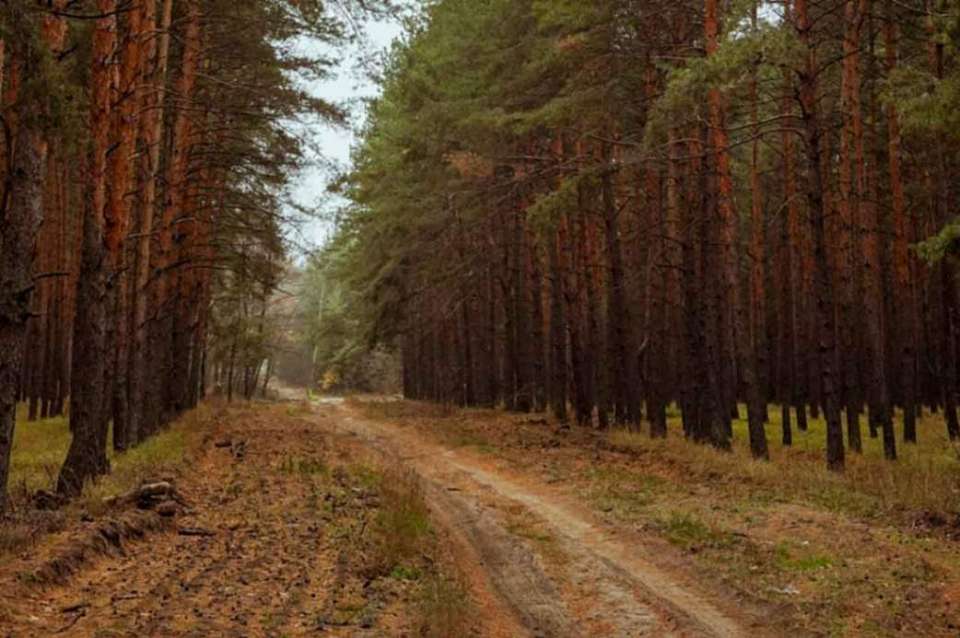 Власти назвали дату окончания пожароопасного сезона в Воронежской области