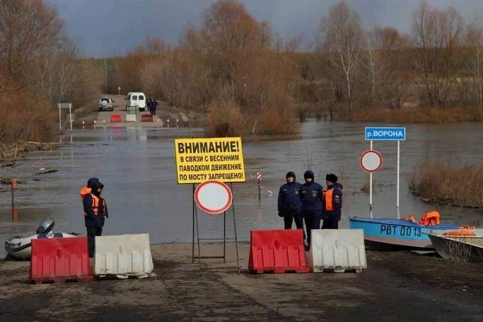 Даты открытия наплавных мостов через реку Дон сообщили в Воронежской области 