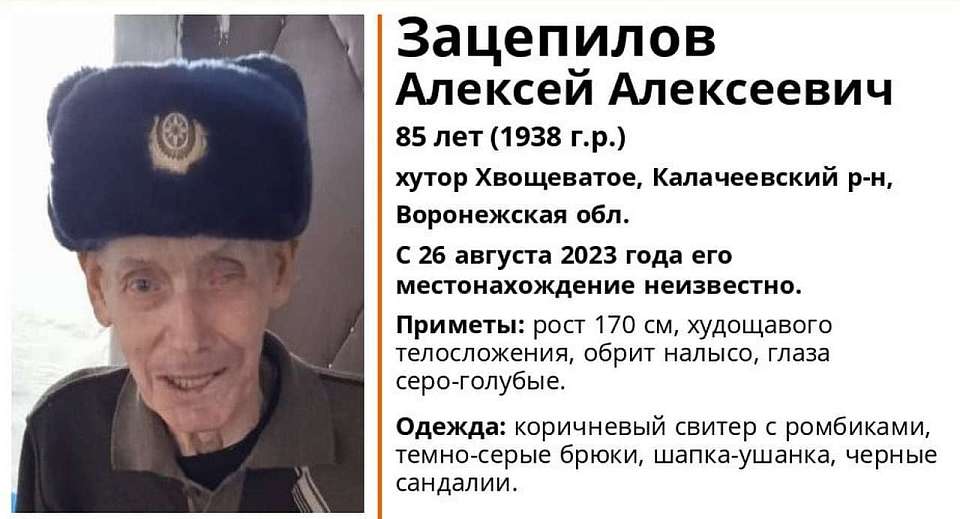 Пропавшего пенсионера с провалами в памяти разыскивают в Воронежской области