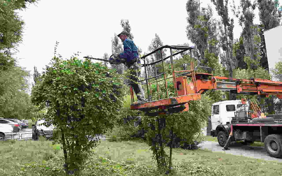 Продолжаем комплексно ухаживать за зелеными насаждениями