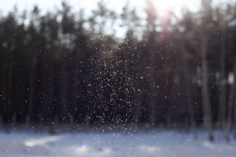 В Воронеже нашли погибшей 18-летнюю самбистку