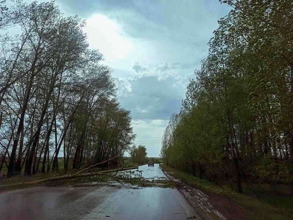 МЧС предупредило о грозовом шторме в Воронежской области 27 июля